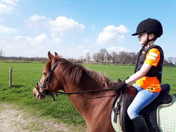 Ponyrijden manege Groesbeek Nijmegen